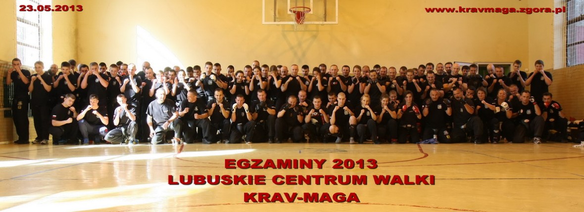 Egzaminy 2013