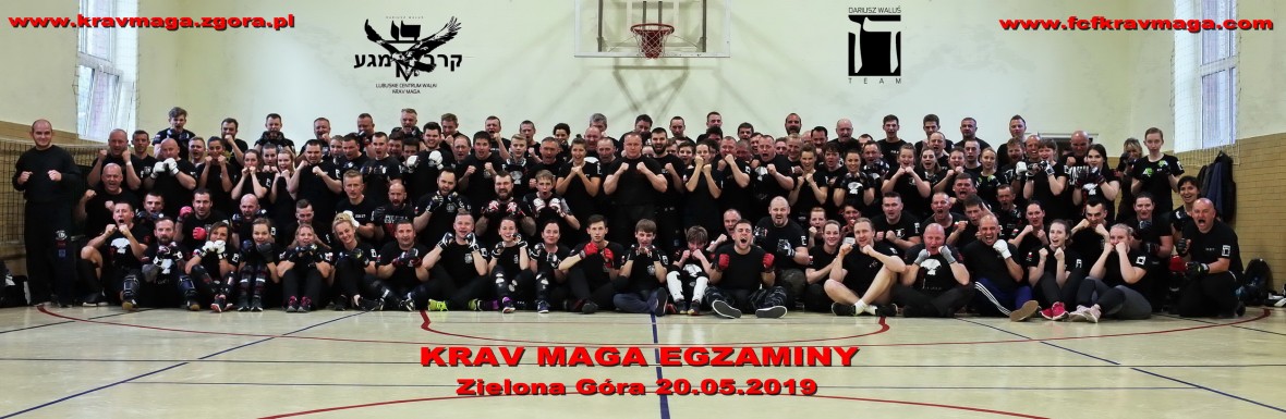 Egzaminy 2019